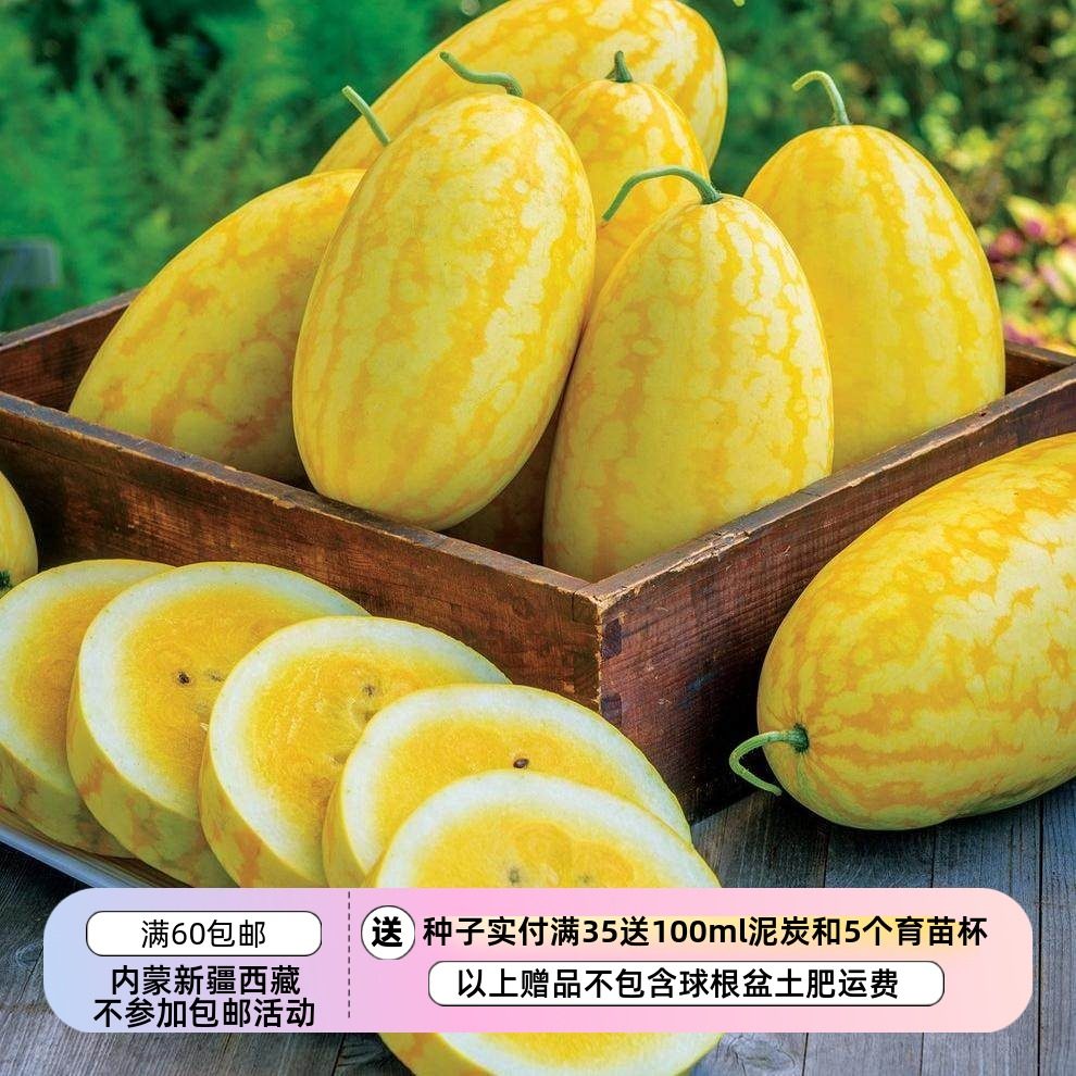 【种子】新品 F1   黄皮黄肉 脆甜 小型椭圆形西瓜  金中金  2粒