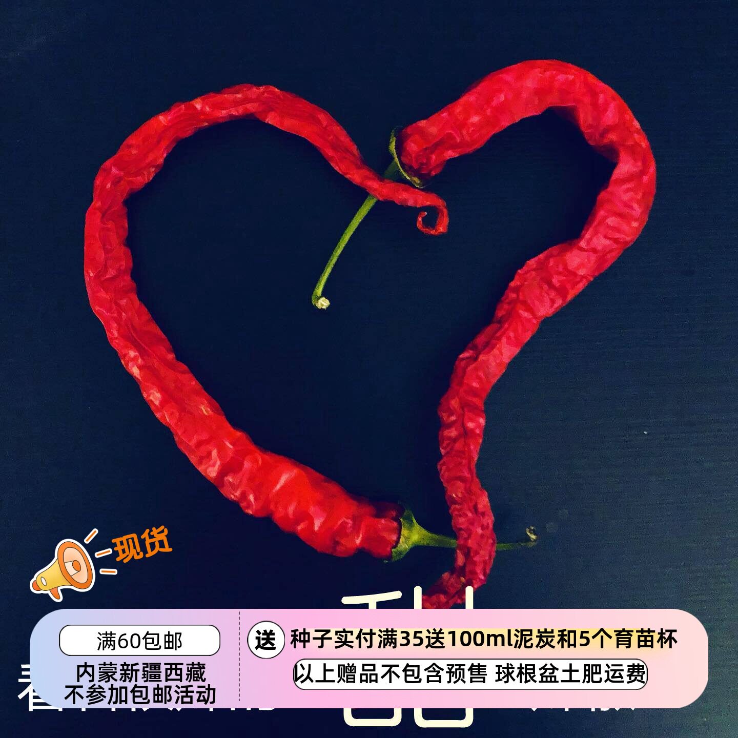 进口传家宝种子盆栽可留种辣椒图片