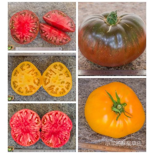 进口传家宝种子白兰地西红柿