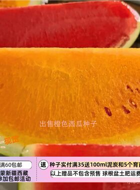 【种子】传家宝老品种 橙色果肉西瓜 甜橙 5粒