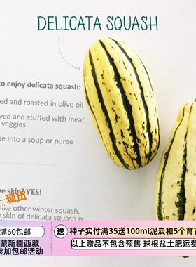 【种子】超-甜坚果味儿 红薯南瓜 德利卡塔 Delocata 5粒