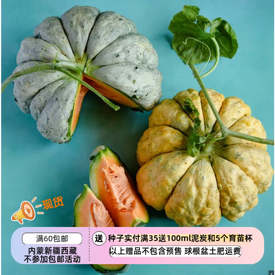 【种子】传家宝种子 可留种 甜瓜  普雷斯科特