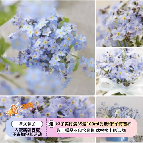 疯狂的小羊神秘森林天蓝色