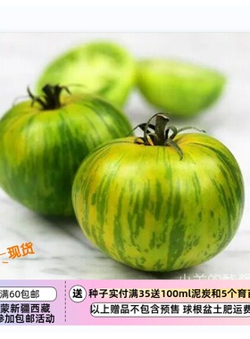 【种子】传家宝种子 味道浓郁 小西红柿 番茄 绿色斑马 5粒