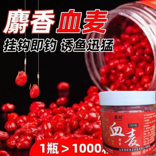 钓鱼小麦粒血麦饵料谷道香野钓鲫鱼鲤鱼草鱼四季通杀红虫颗粒钓饵