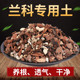 高宅兰花土专用透气营养土铁皮石斛种蝴蝶君子兰松树皮植料土多肉