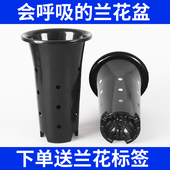 园艺兰花盆加厚黑色塑料透气排水带孔种植盆栽盆君子兰花专用盘