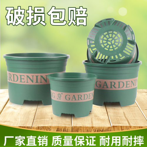 矮款加仑控根盆蝴蝶兰盆