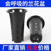 直播推荐 100个兰花盆加高塑料兰花专用盆黑色花盆花卉绿植盆栽