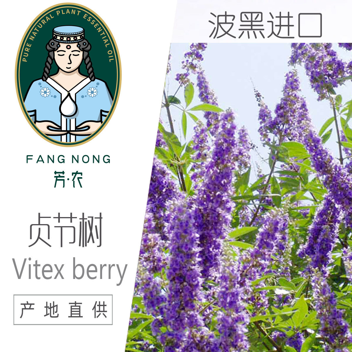 波黑贞节树莓精油原料 纯Vitex经前综合