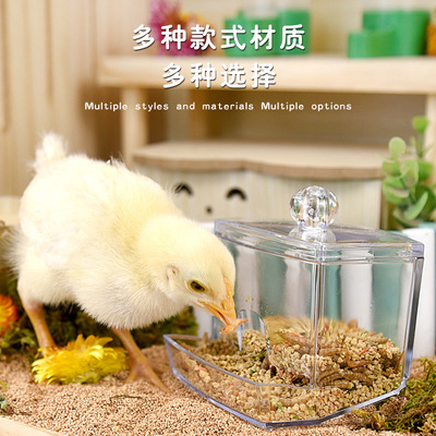 芦丁鸡自动喂食器亚克力自动下料器芦丁鸡鹌鹑喂水器宠物造景用品