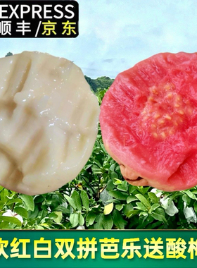 福建漳州软糯红白双拼芭乐低糖低卡水果膳食纤维孕妇京东顺丰包邮