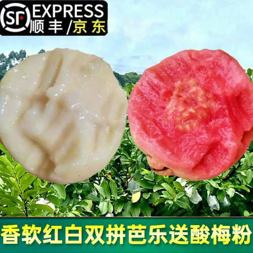 福建漳州红白双拼芭乐低糖