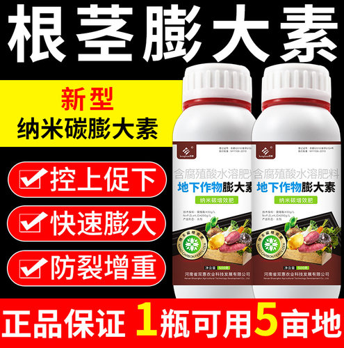 地下根茎膨大素纳米碳肥料