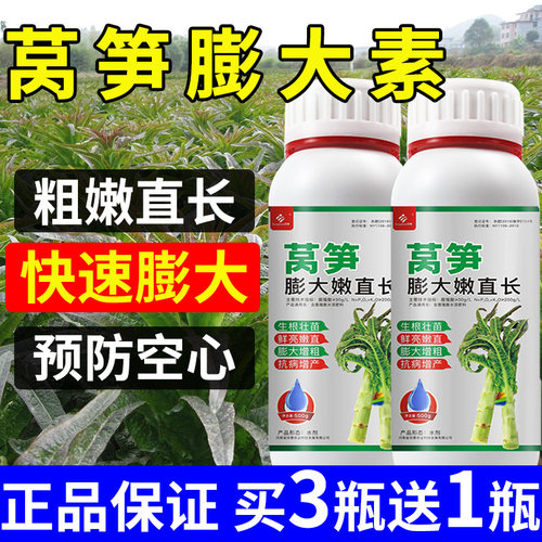 莴笋膨大素三控粗嫩壮