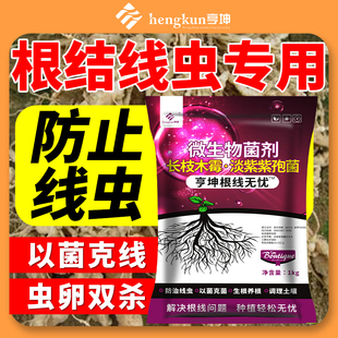 根结线虫专用药淡紫紫孢菌拟青菌霉根线清根线灵颗粒根瘤生物菌剂