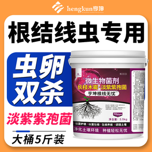根结线虫专用药颗粒根线虫淡紫紫孢菌淡紫拟青菌根线清根瘤根腐
