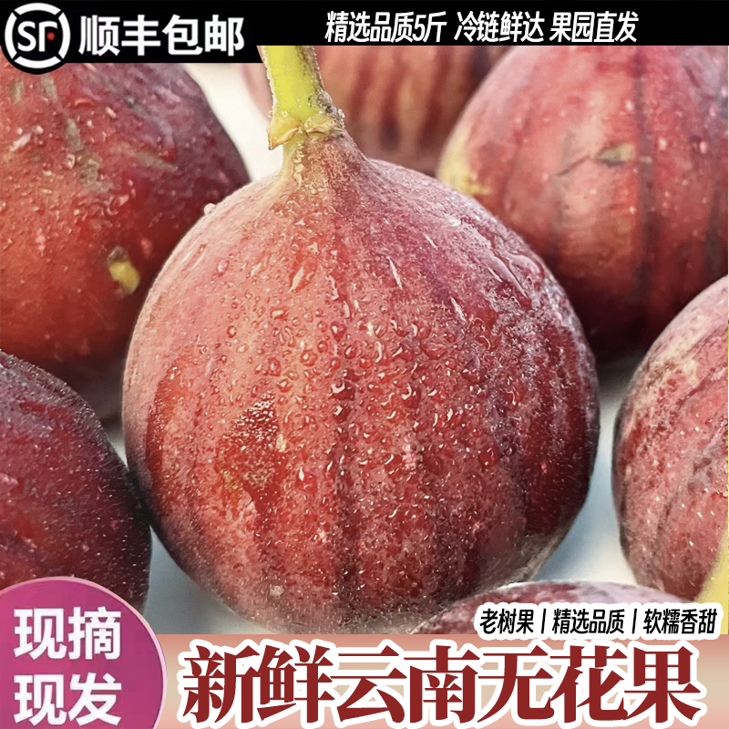 现货云南新鲜无花果现摘当季新鲜糖包子孕妇水果软糯香甜顺丰包邮,水产肉类/新鲜蔬果/熟食,无花果,淘宝优惠券,粉丝福利购,淘宝优惠卷