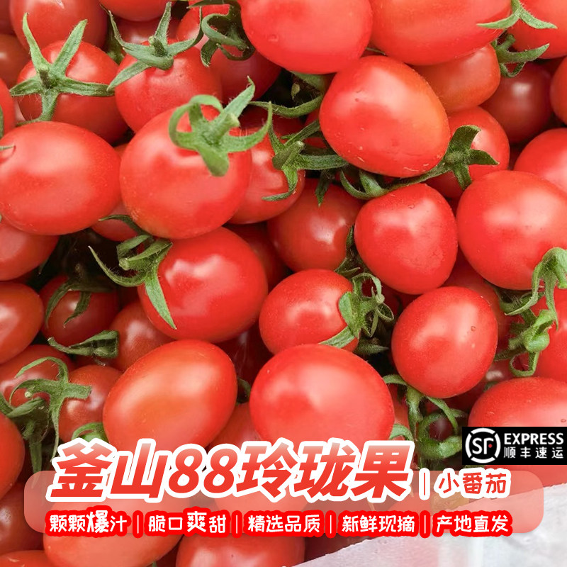 釜山88玲珑果正宗小番茄当季新鲜水果爆汁千禧超甜圣女果小西红柿