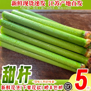 新鲜甜杆顺丰包邮甜芦粟当季新鲜甜小甘蔗孕妇水果甘甜多汁现砍