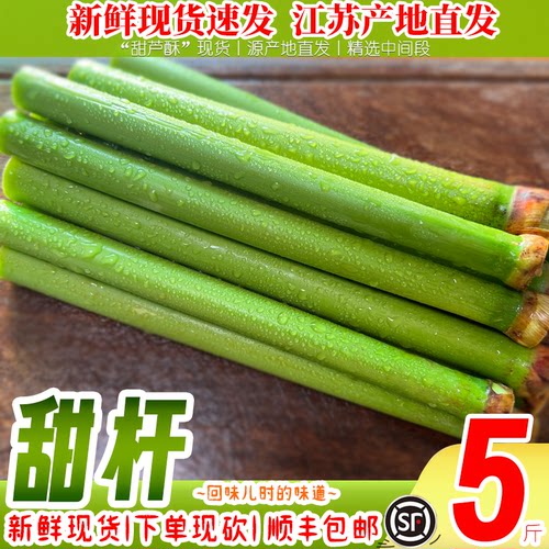 新鲜甜杆顺丰包邮甜芦粟当季新鲜甜小甘蔗孕妇水果甘甜多汁现砍