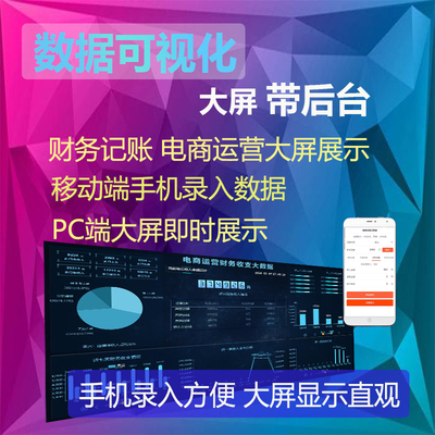 数据可视化大屏带后台 电商运营echarts财务记账java源码ssm项目