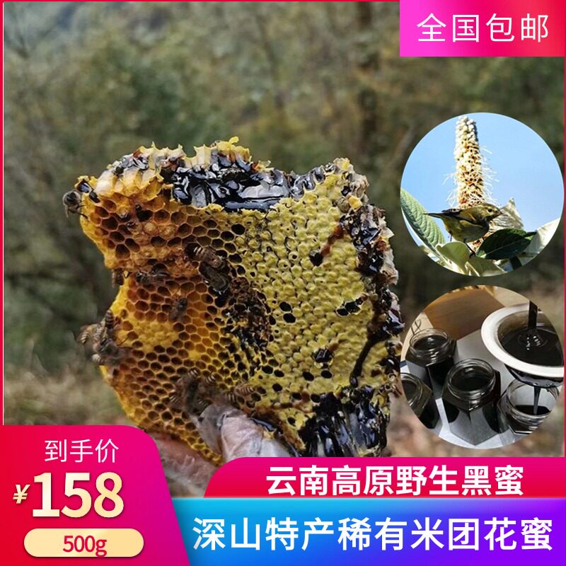 云南高原野生黑蜜米团花老巢蜜土蜂蜜天然营养健康滋补孕妇食用