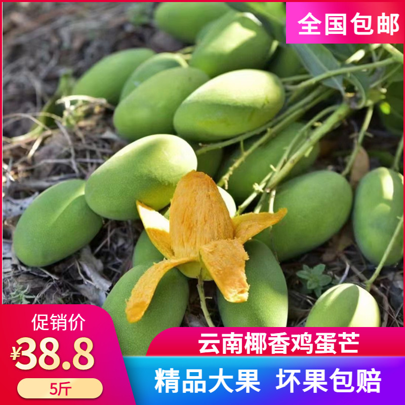 云南椰香芒果新鲜5斤10斤鸡蛋芒水果新鲜整箱当季现摘椰香鸡蛋芒