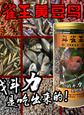 斗雀王四号饲料黄腾提性壮膘鸟食