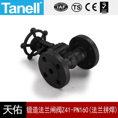 法兰闸阀Z41-PN160tanell