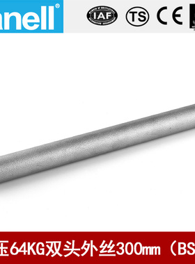 双头管外丝BSPT300长64KG高压管件Sch40焊接304316L天佑管业11543