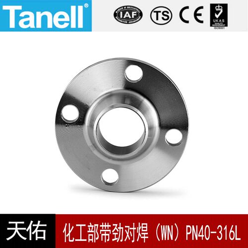 tanell化工部带劲对焊法兰PN40