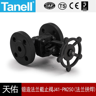 法兰截止阀J41-PN250tanell