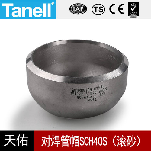 对焊管帽Sch40sTANELL304