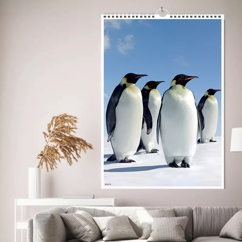 挂历广告萌动时光2026年手绘新款插画家用挂墙月历年历日历高清,文具电教/文化用品/商务用品,台历,淘宝优惠券,粉丝福利购,淘宝优惠卷