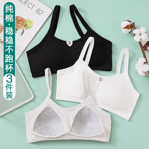 纯棉发育期二阶段少女内衣