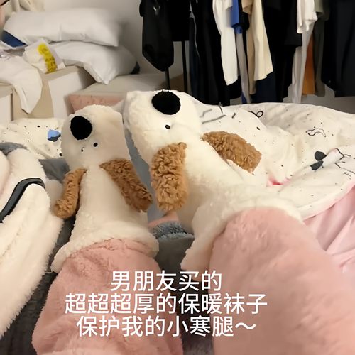 可爱小狗保暖袜加厚加绒卡通可爱