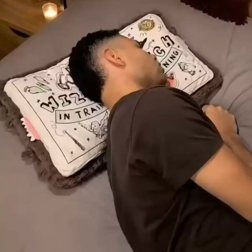 怪物书枕头哈利波特动漫电影周边图片