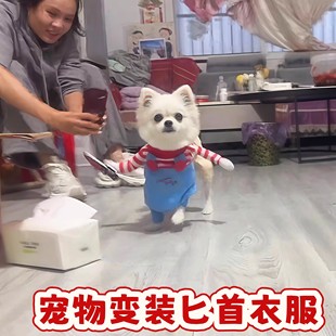 狗狗拿刀衣服创意搞怪万圣节宠物变装可爱小型犬匕首衣服拍照道具
