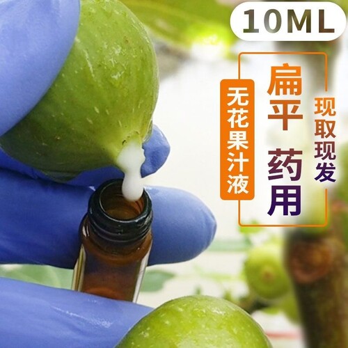 新鲜无花果白汁白浆原汁广西无花果茎枝汁液药用当天现挤10ml外用