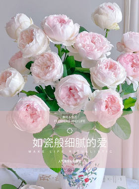 可爱瓷玫瑰花家居办公室周花订阅插花东北三省京津冀沈阳内蒙配送