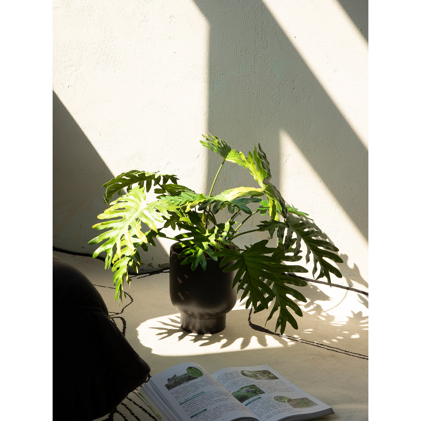 Na家花房仿真春羽家居小绿植盆栽桌面装饰摆设件仿生盆景植物春芋