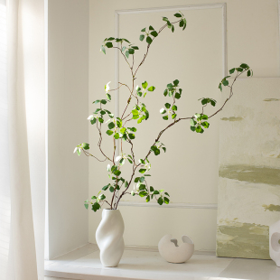 Na家花房仿真绿色植物观音莲家居饰品客厅禅意摆件室内假绿植装 饰