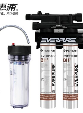 爱惠浦（Everpure）Twin PF-BH2双联净水器商用净水机 双芯过滤