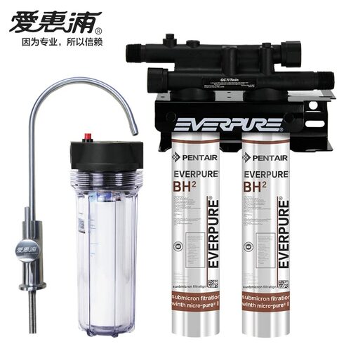爱惠浦（Everpure）Twin PF-BH2双联净水器商用净水机 双芯过滤