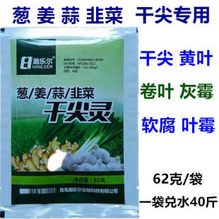 葱姜蒜韭菜干尖灵黄叶卷叶干叶软腐茎枯增产绿叶增粗粗壮叶面肥料