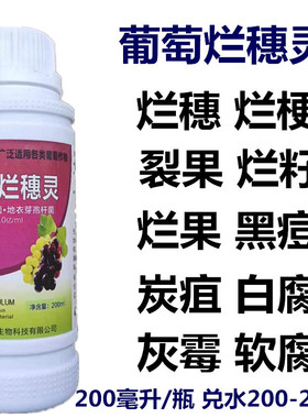 葡萄专用烂穗灵白腐黑疽房枯穗轴黑痘烂穗烂果粒烂梗裂果芽孢杆菌