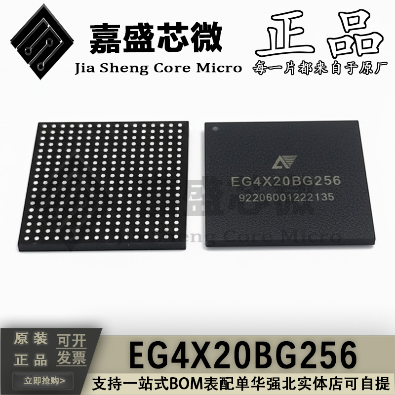 EG4X20BG256微控制芯片