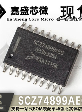 原装进口 SCZ74899AEG 09389381 SOP 2.0防盗盒搭反电瓶易烧芯片