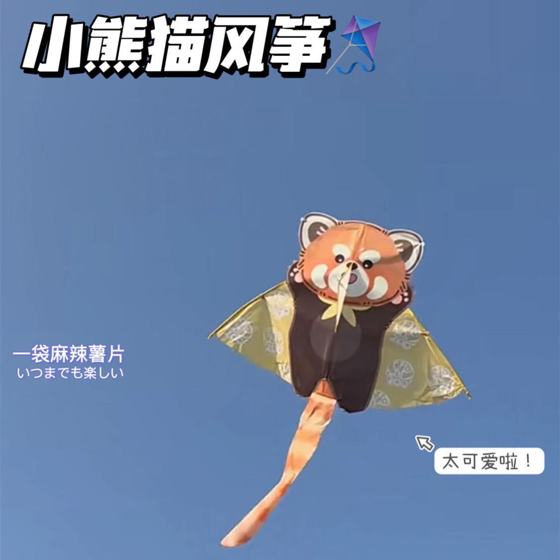 小红书同款可爱小熊猫风筝卡通微风易飞网红潍坊儿童风筝潍坊风筝